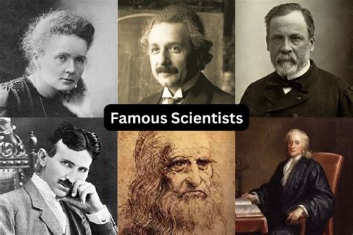 What is a wine scientist?
