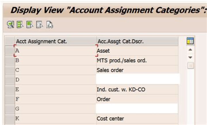 What is account assignment in po?