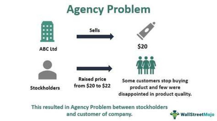 What is agency problem quizlet?