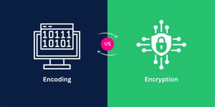 What is an encoded check?