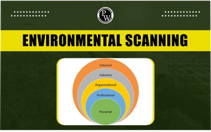 What is an environmental scan of an organization?