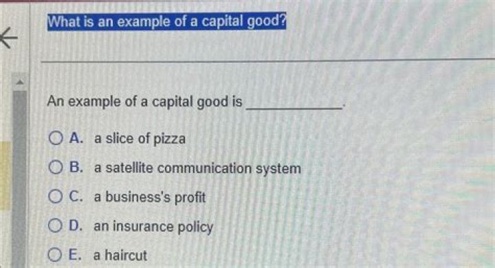 What is an example of a capital good?