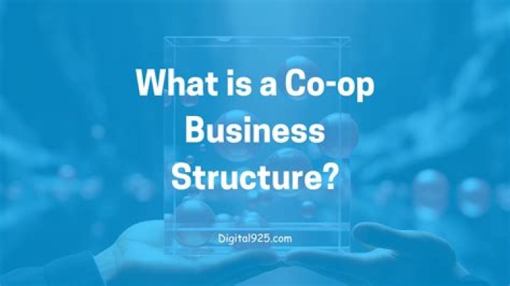What is an example of a co-op business?