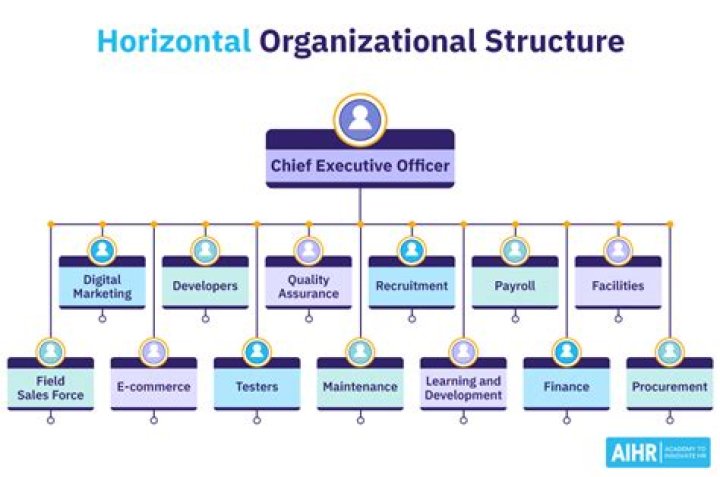 What is an example of a horizontal company?
