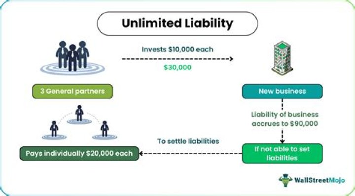 What is an example of an unlimited liability company?