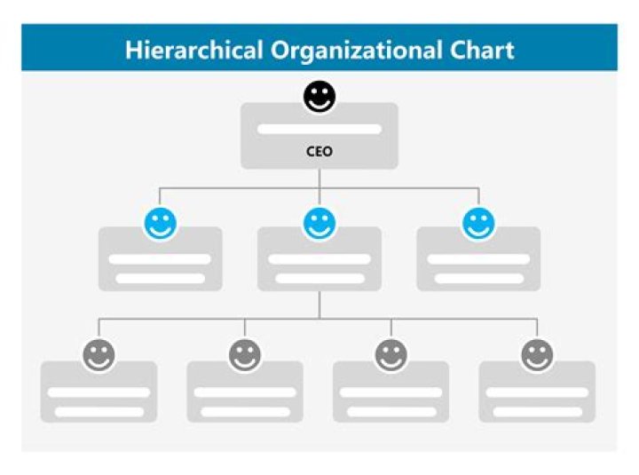 What is an example of organization?