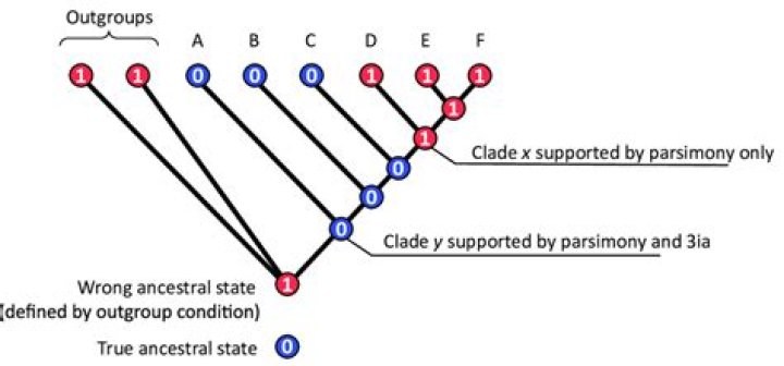 What is an example of parsimony?
