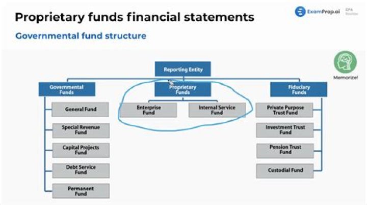 What is an example of proprietary fund?