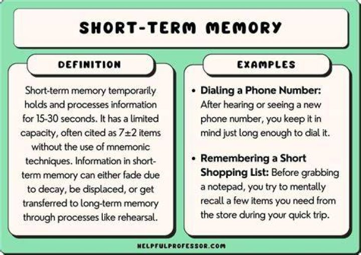 What is an example of short term borrowing?