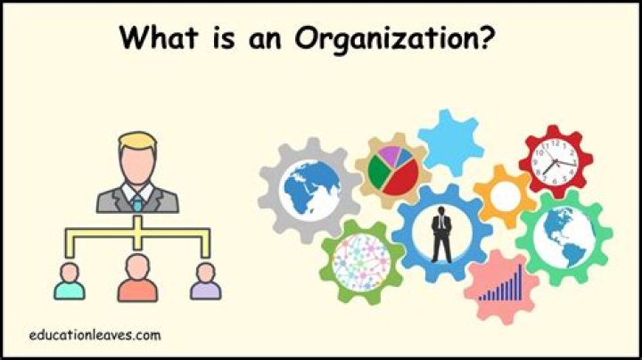 What is an organization as a group of persons?