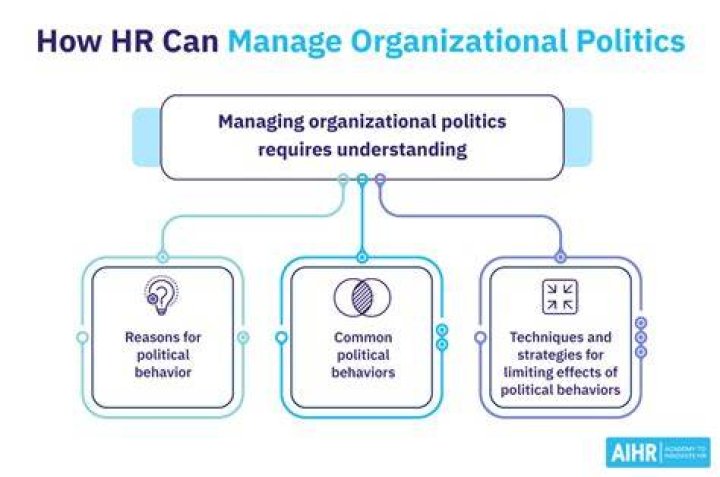 What is an organization owned and operated by a group of individuals called?