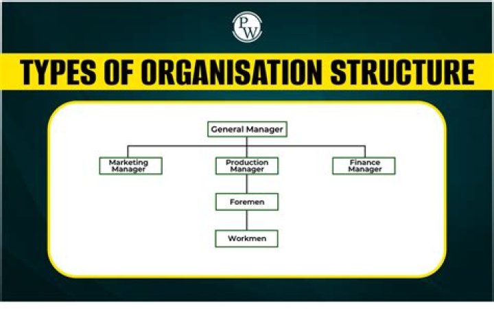 What is an organization type?