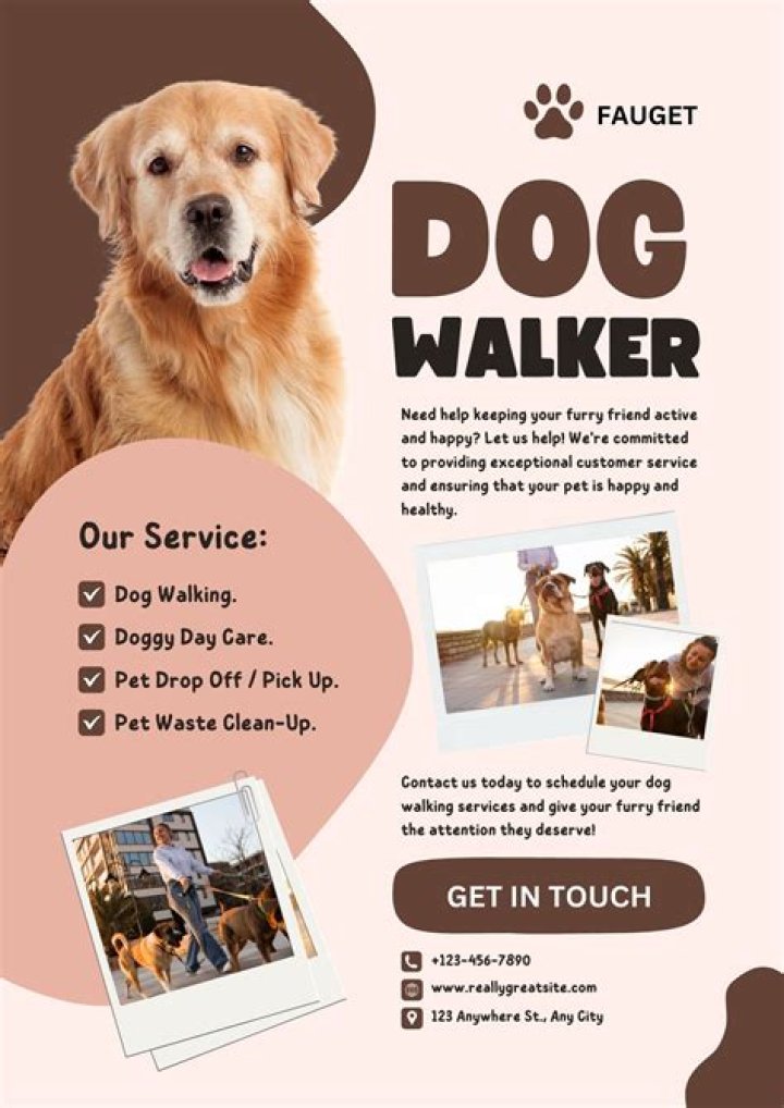 What is another name for a dog walker?