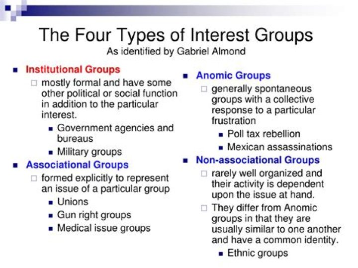 What is associational interest group?
