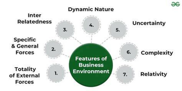What is business environment and its characteristics?