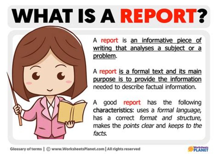 What is business report Definition?