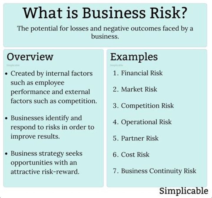 What is business risk and explain the causes of business risk?
