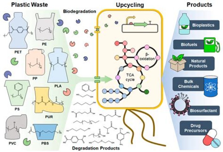 What is catalytic depolymerization?