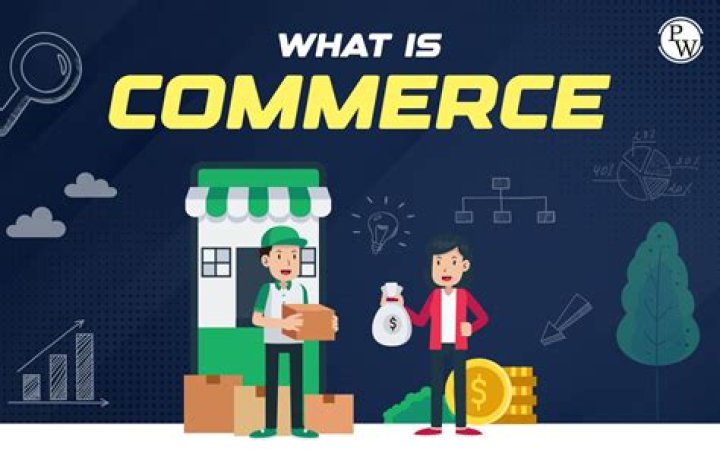 What is commerce example?