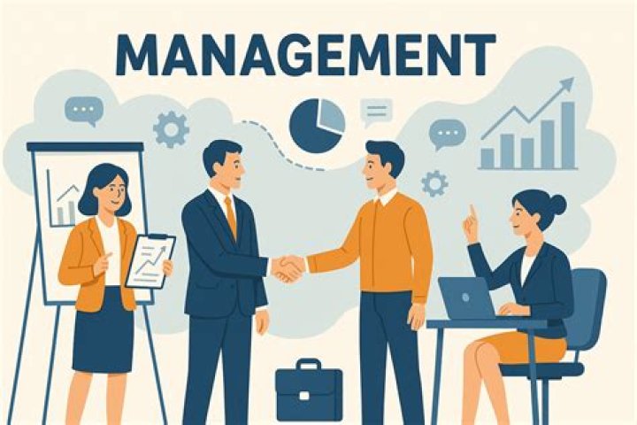 What is definition of management review?