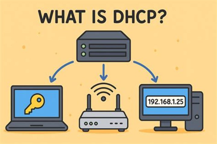 What is DHCP does not do?