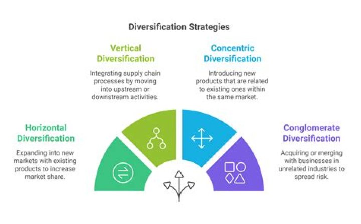What is diversification in business?
