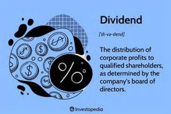 What is dividend with example?