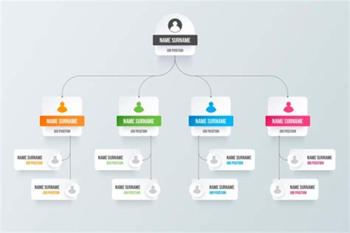 What is E organization?