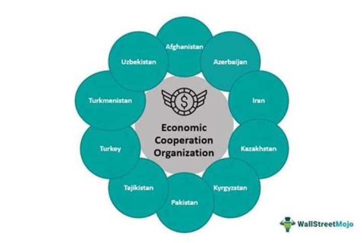 What is economic cooperation?
