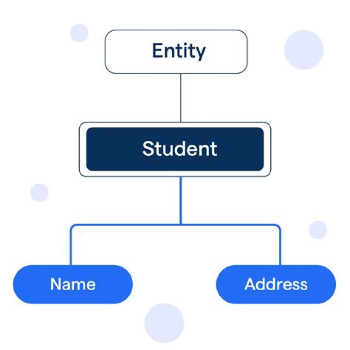 What is entity Short answer?