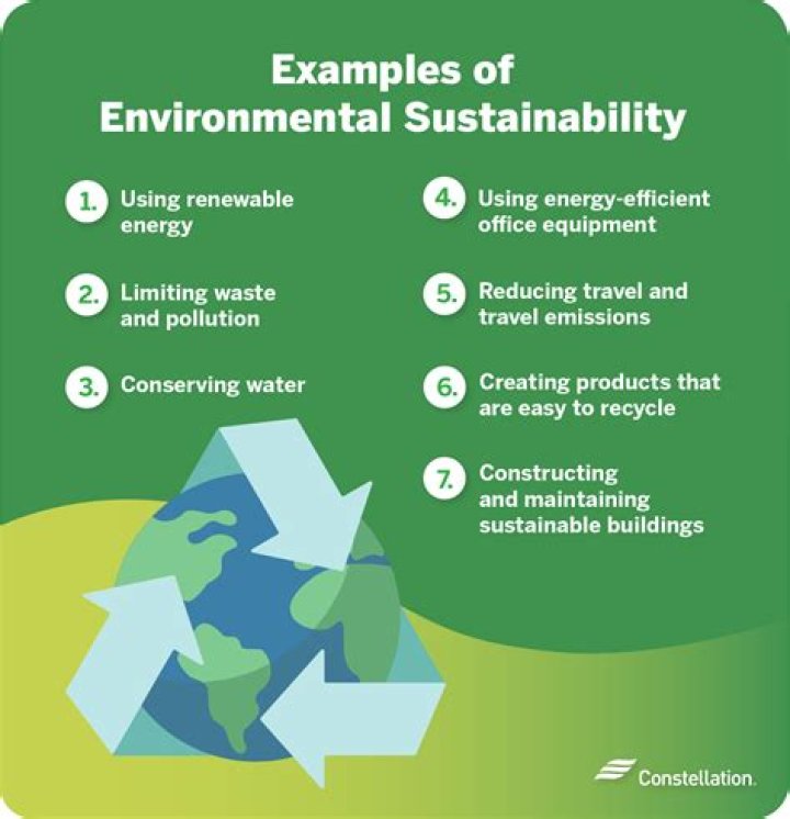 What is environmental volatility?