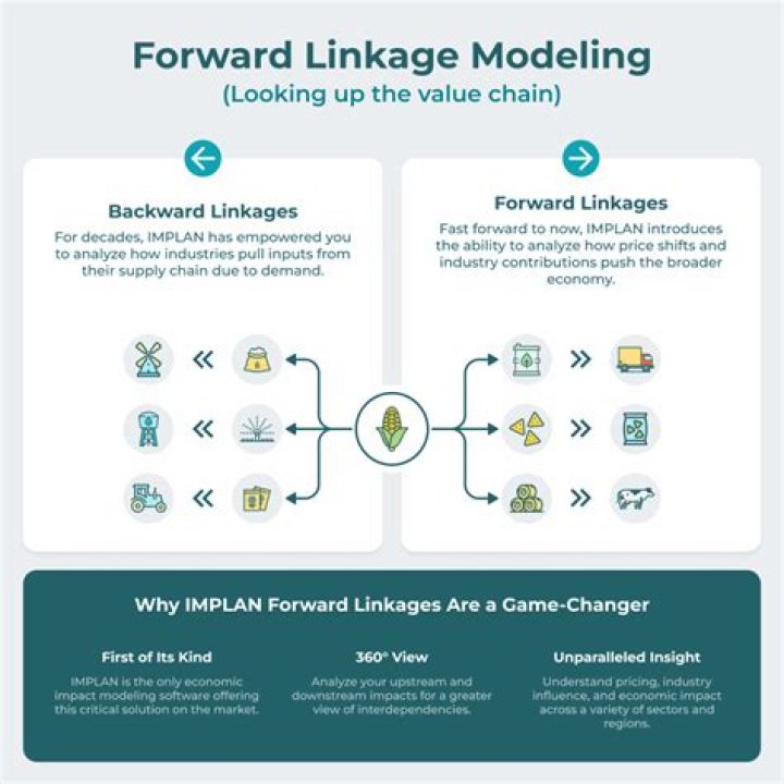 What is forward linkage example?
