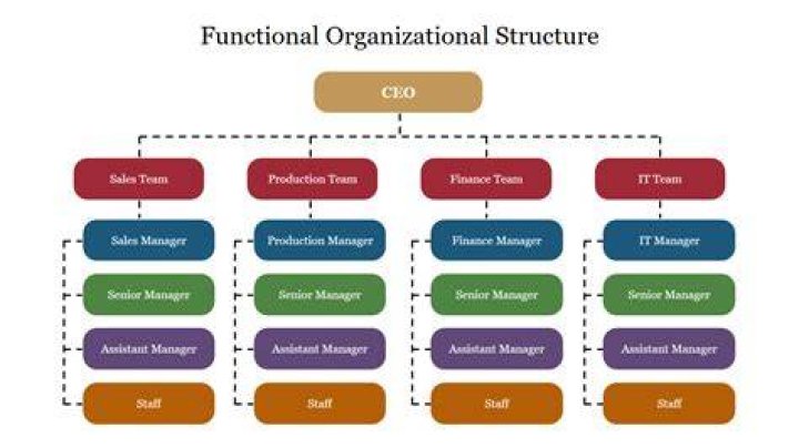 What is functional organization structure?