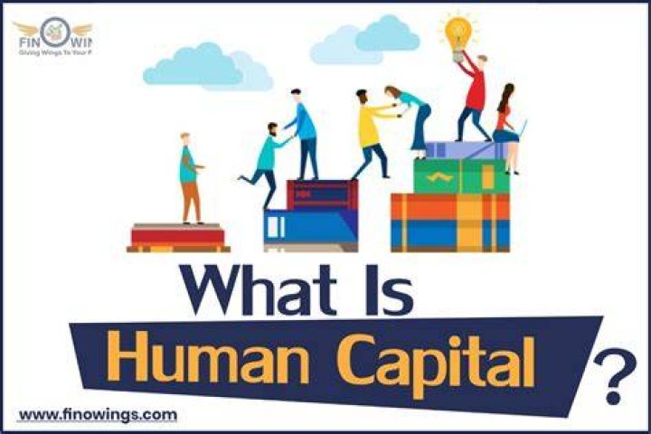 What is human capital in social work?