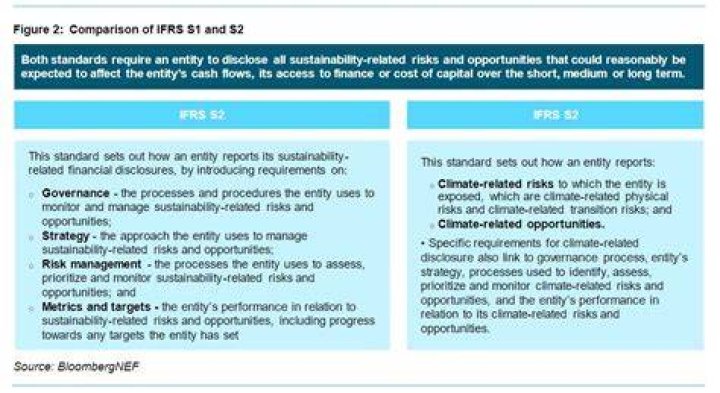 What is IFRS specify the advantages and features of IFRS?
