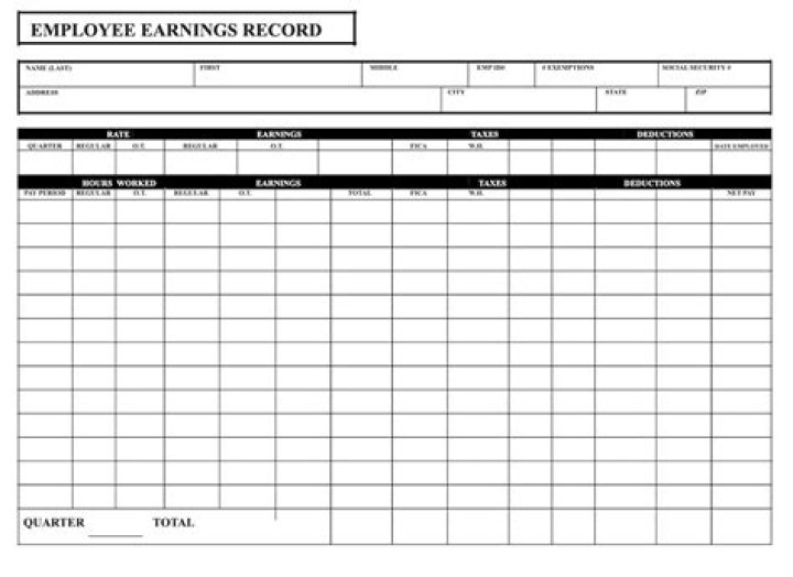 What is included in employee earnings record?