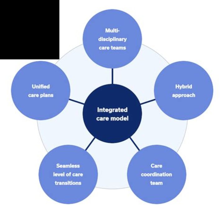 What is integrated model in research?