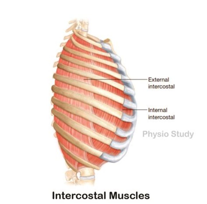 What is internal and external reconstruction?