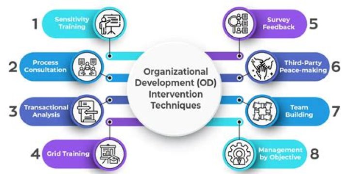 What is interventions in organizational development?