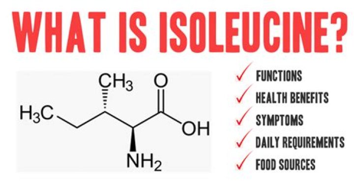 What is isoleucine?