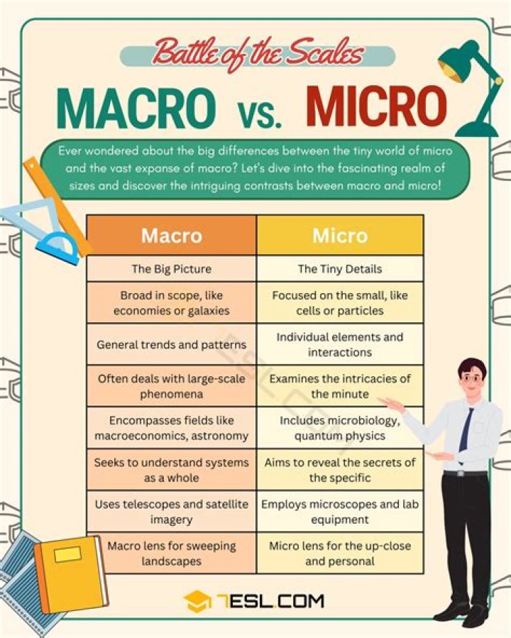 What is macro and micro planning?