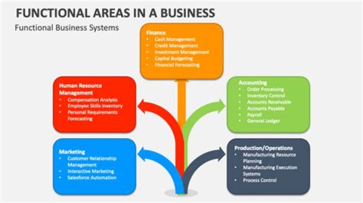 What is main areas of activities of business?