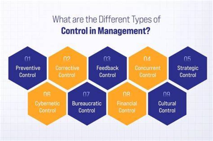 What is management control of a company?