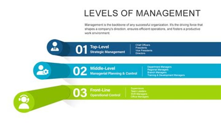 What is management level?