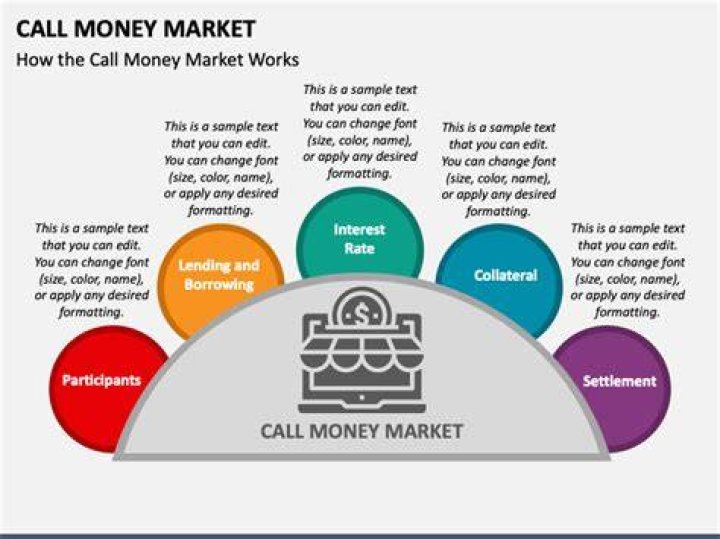 What is meant by call money market?
