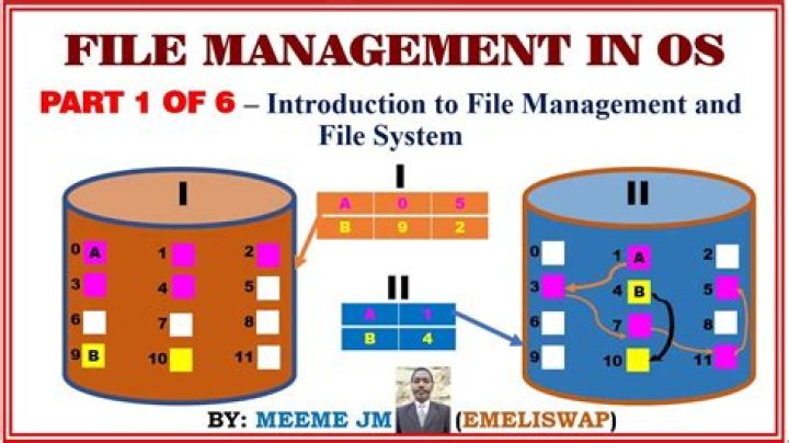 What is meant by file management system?