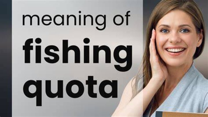 What is meant by fishing quota?