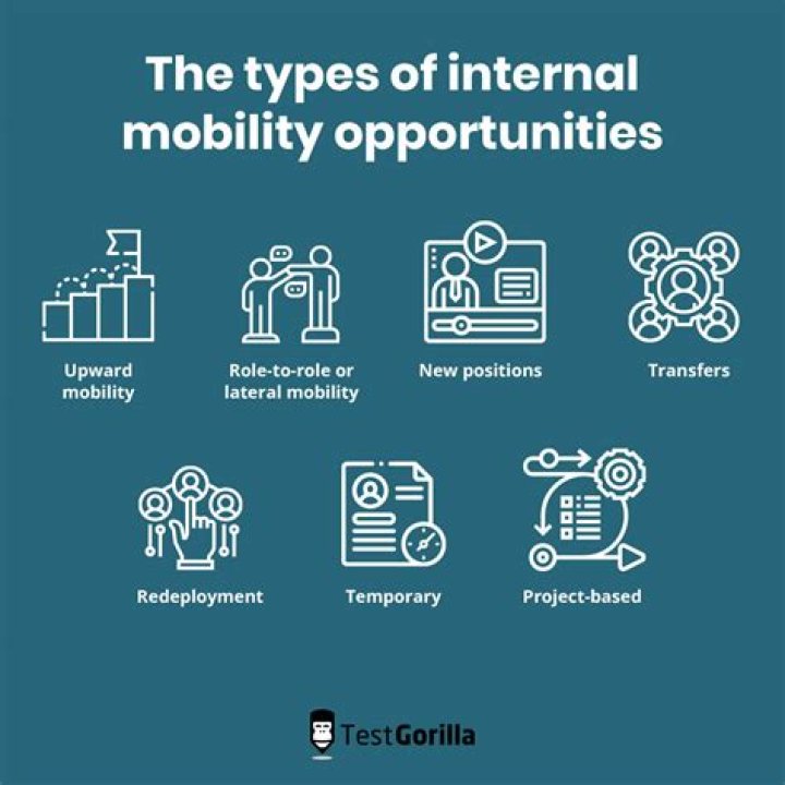 What is meant by mobility of resources?