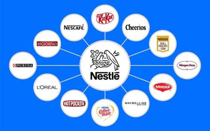 What is meant by nestles?