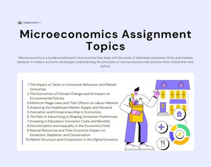 What is microeconomics assignment?